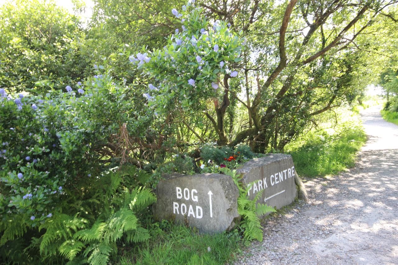 Дома для отпуска Waterside Cottage, Cashel Голуэй